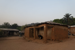 Nggamdu.org
